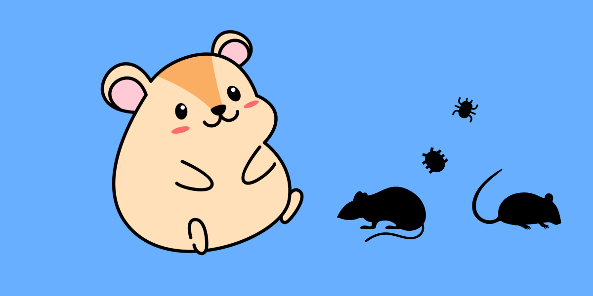 Do Hamsters Attract Rats