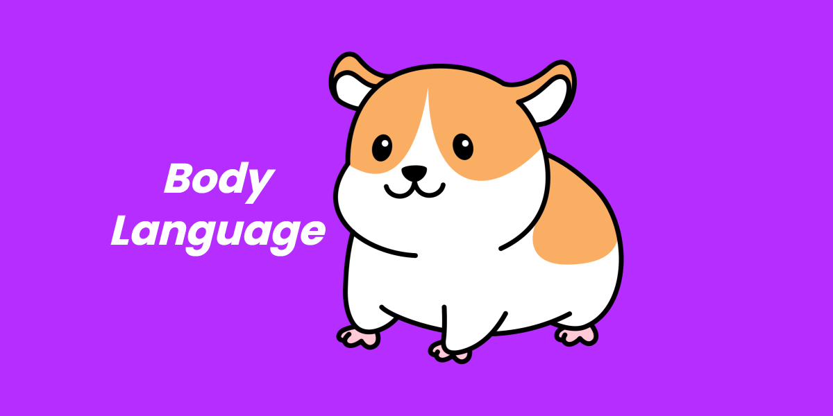 Hamster Body Language