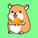 Can Hamsters Eat Oranges