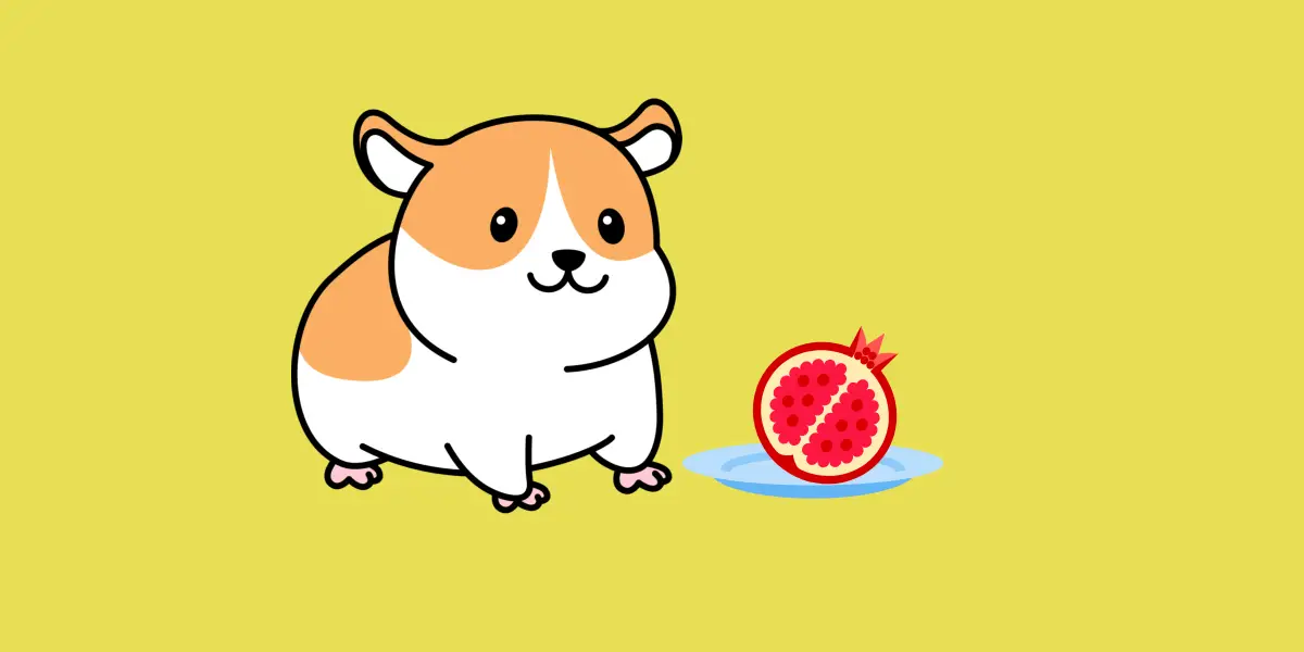 Can Hamsters Eat Pomegranate