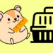 Best Hamster Cage Size
