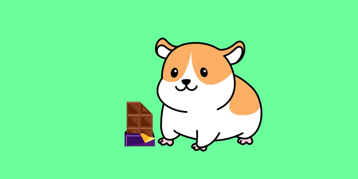 Can Hamsters Eat Chocolate