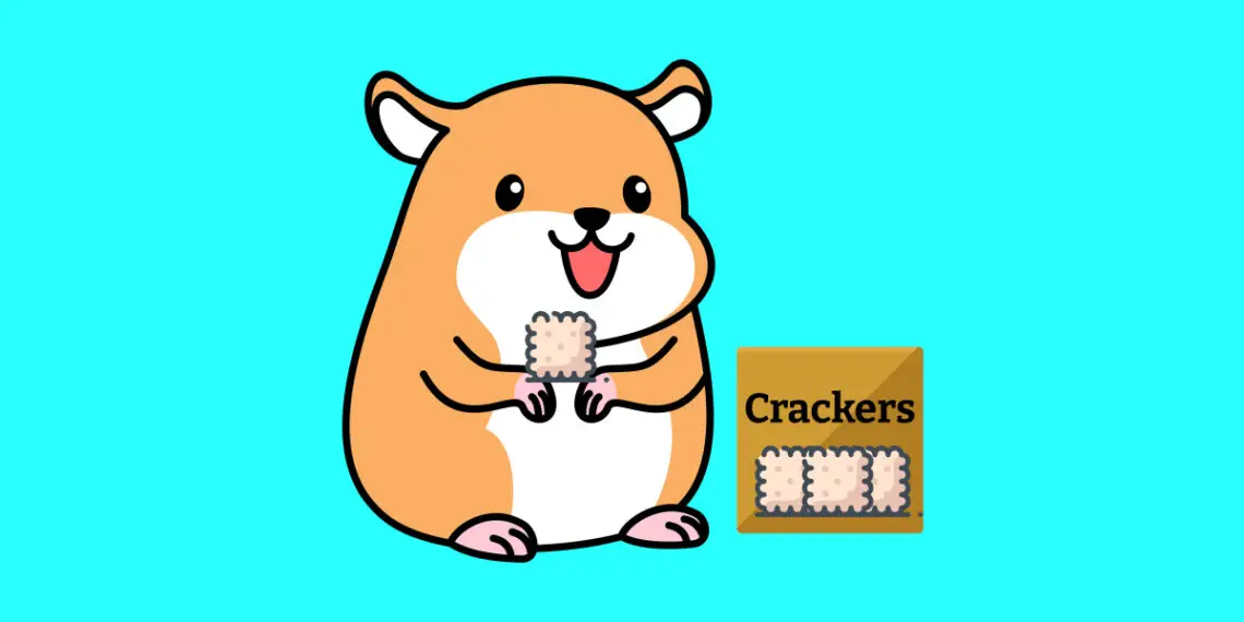 Can Hamsters Eat Crackers? - Hamster Pros