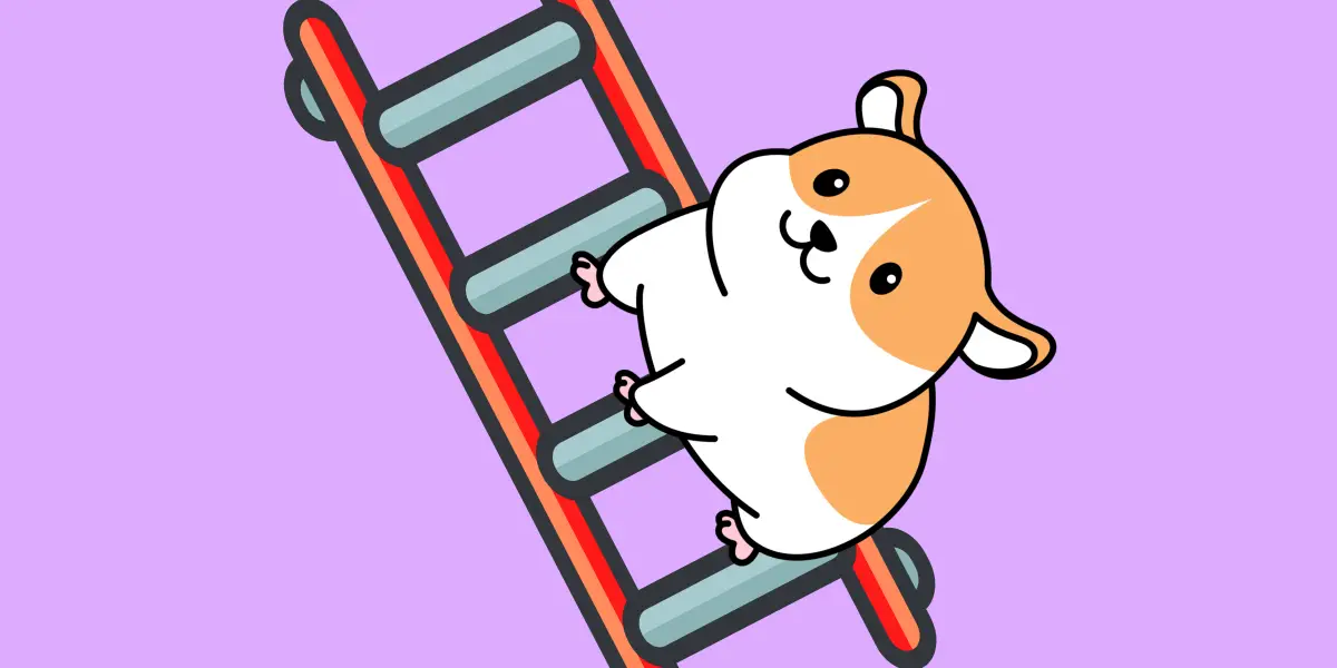 Best Hamster Climbing Toys