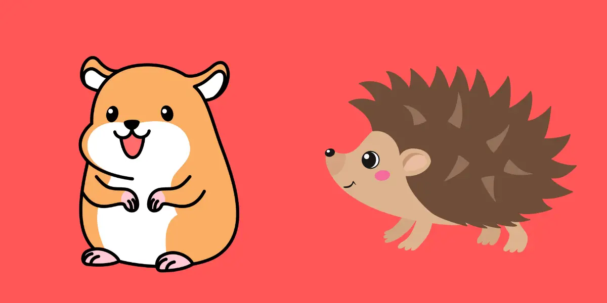 Can Hamsters And Hedgehogs Live Together?