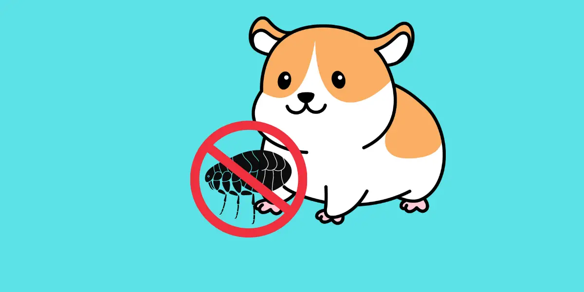 What To Do If Hamsters Have Fleas?