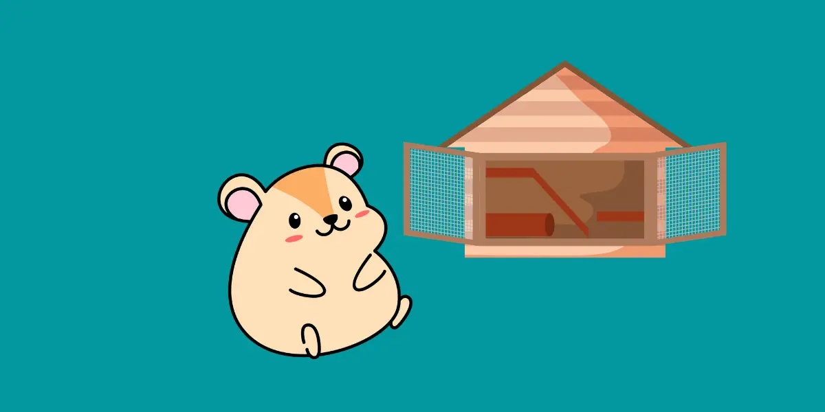 Why Do Hamsters Bite Their Cage?